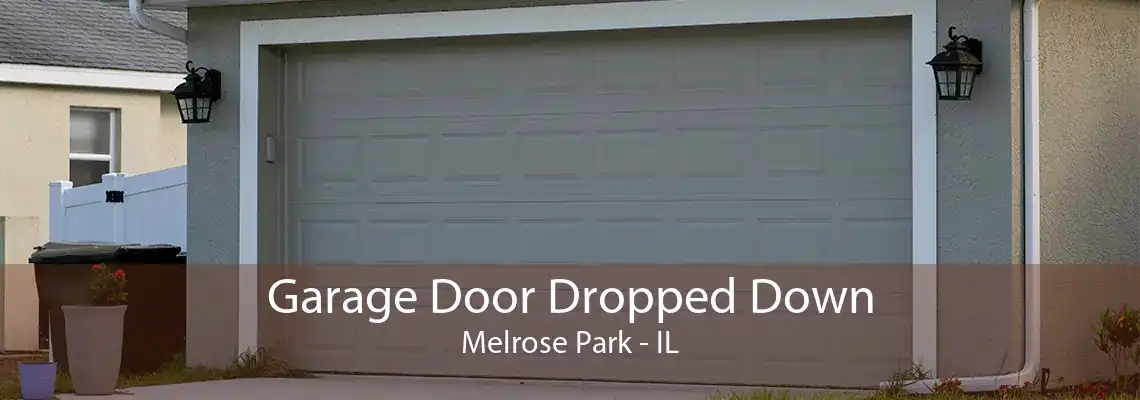 Garage Door Dropped Down Melrose Park - IL