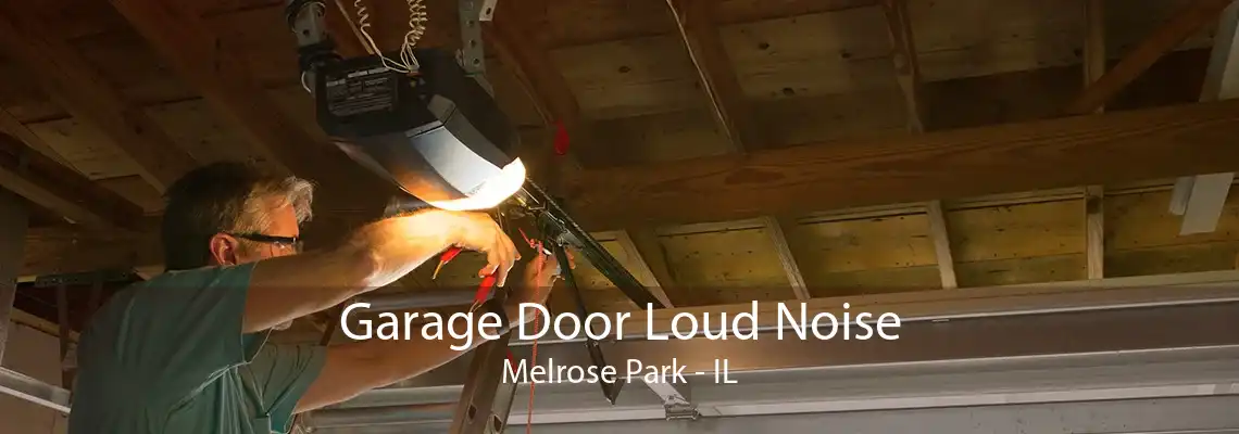 Garage Door Loud Noise Melrose Park - IL