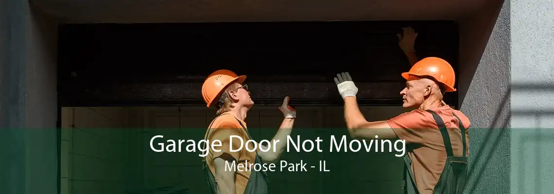 Garage Door Not Moving Melrose Park - IL